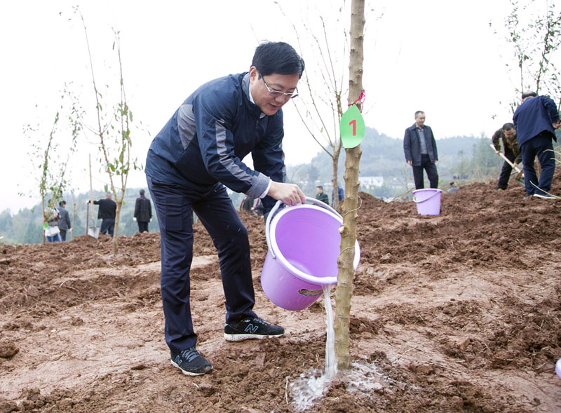 何市长800.jpg