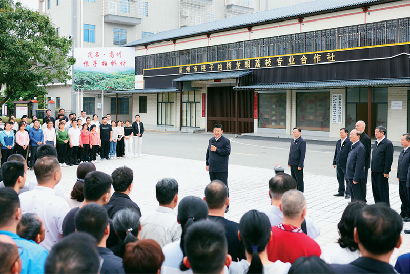 习近平：在学习贯彻习近平新时代中国特色社会主义思想主题教育工作会议上的讲话「相关图片」