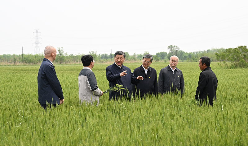 习近平在河北考察并主持召开深入推进京津冀协同发展座谈会时强调
以更加奋发有为的精神状态推进各项工作
推动京津冀协同发展不断迈上新台阶
李强丁薛祥出席座谈会 蔡奇陪同考察并出席座谈会「相关图片」