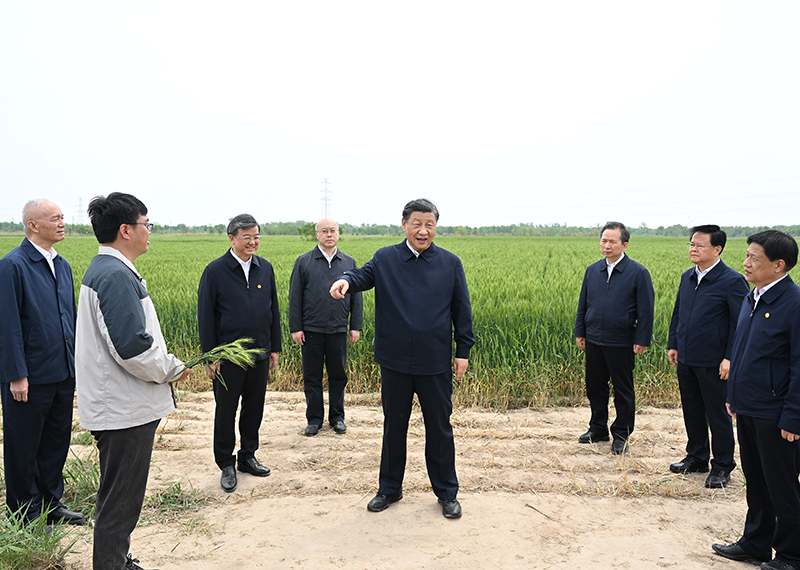 习近平在河北考察并主持召开深入推进京津冀协同发展座谈会时强调
以更加奋发有为的精神状态推进各项工作
推动京津冀协同发展不断迈上新台阶
李强丁薛祥出席座谈会 蔡奇陪同考察并出席座谈会「相关图片」